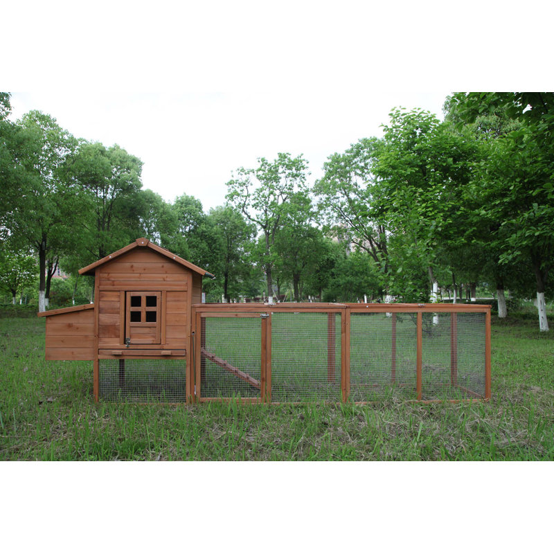 Tucker Murphy Pet™ Hanish 18.33 Square Feet Chicken Coop with Chicken